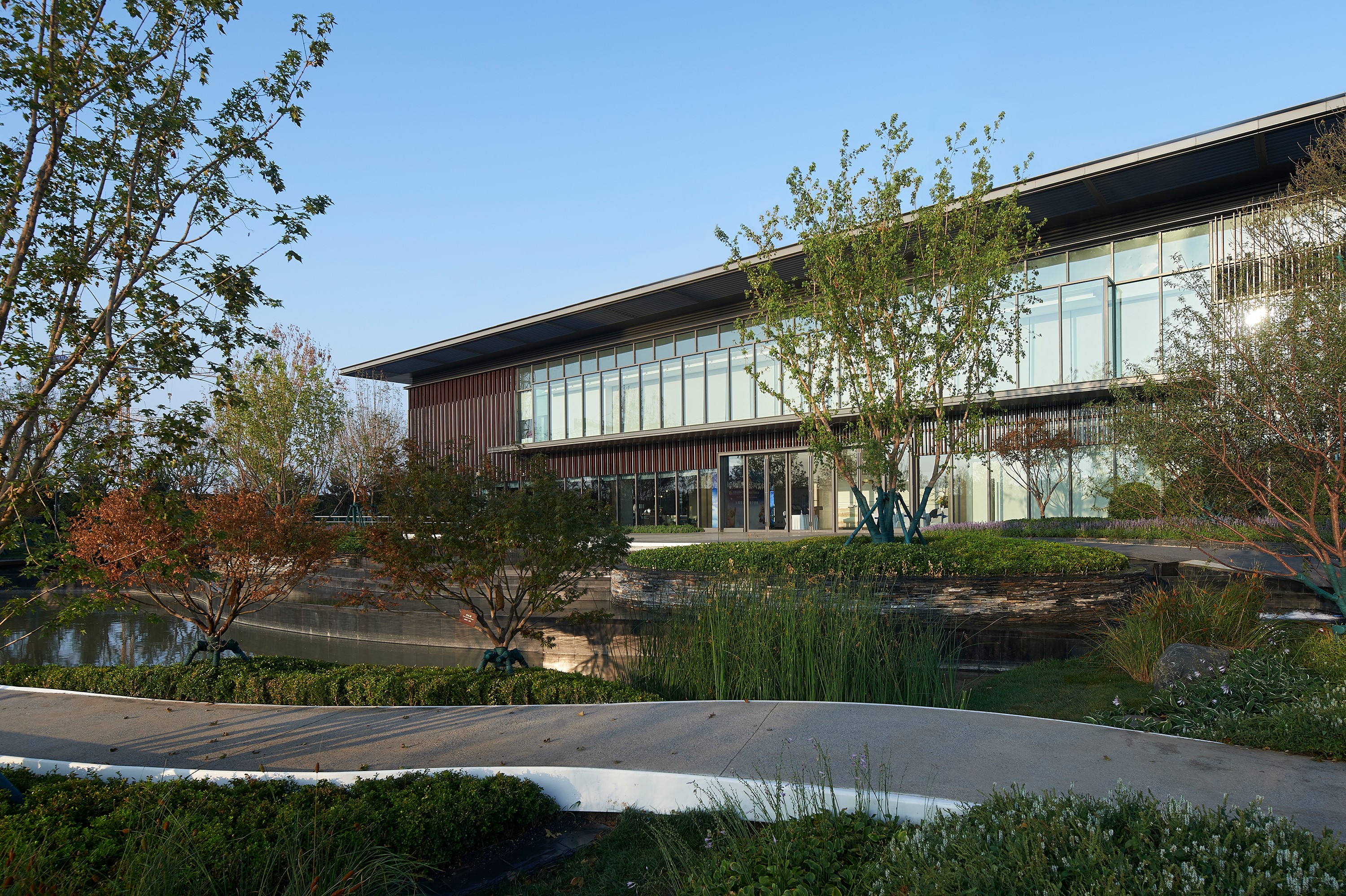 1603697728349645.jpg _DSC1095.gai.jpg