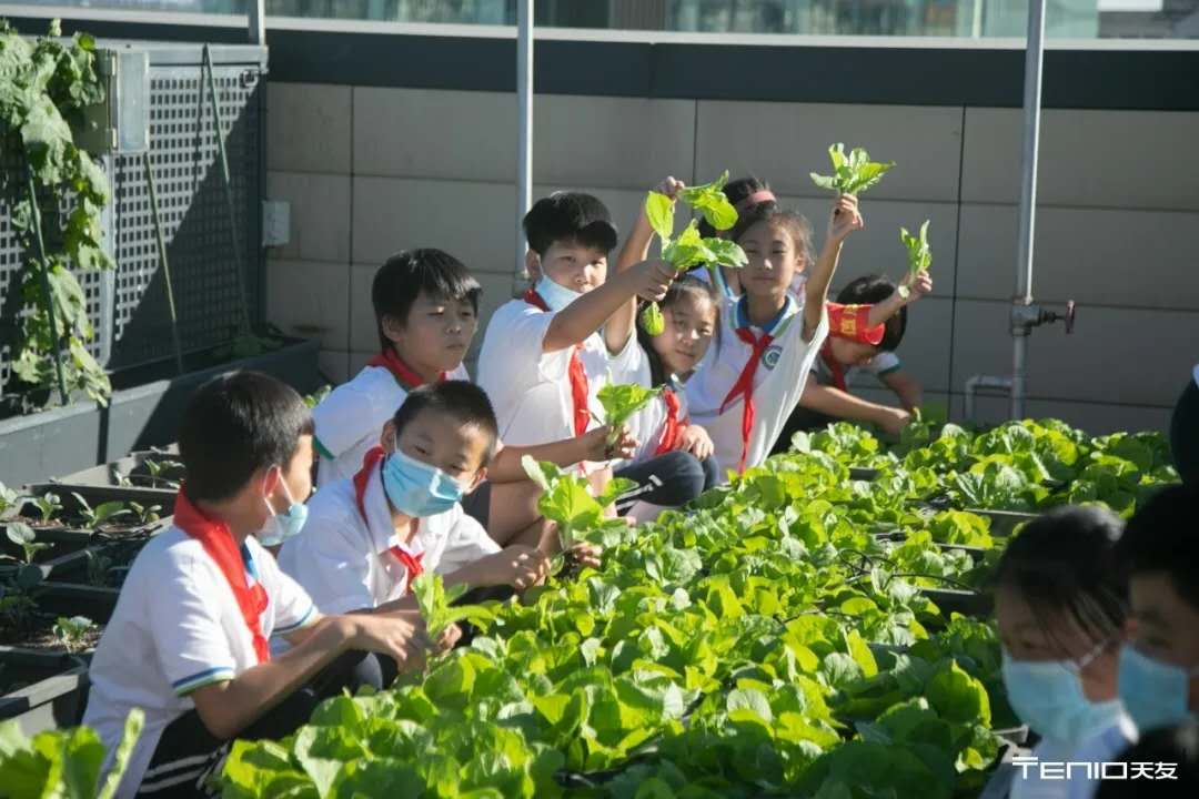 1603701233361179.jpg 9.jpg