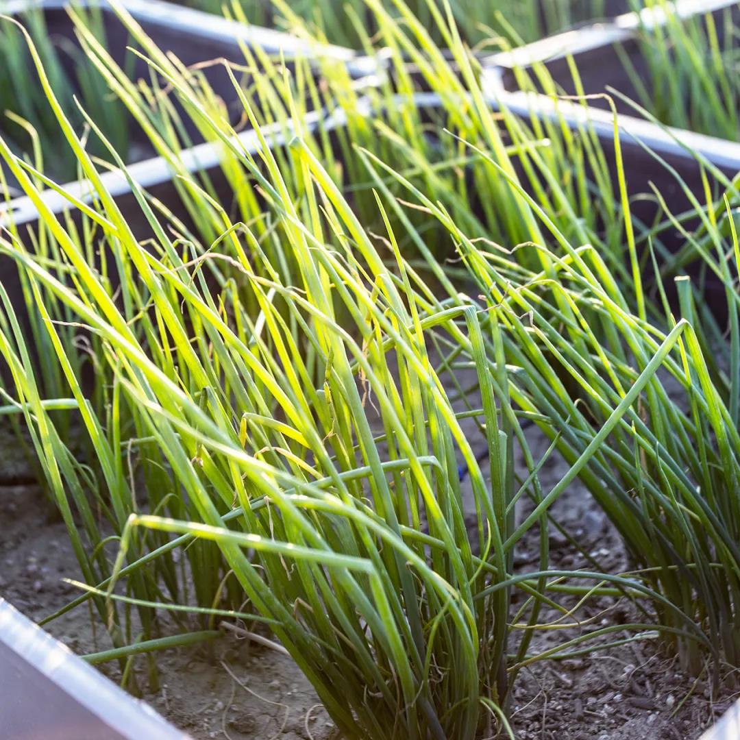 天友設(shè)計(jì)