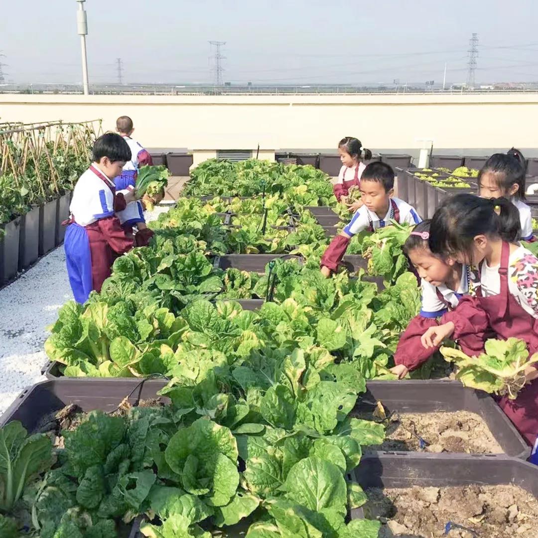 天友設(shè)計(jì)